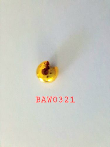Crimp beads cover 5 mm gold plated